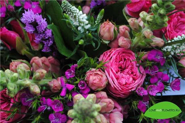 №792226 - оригинал