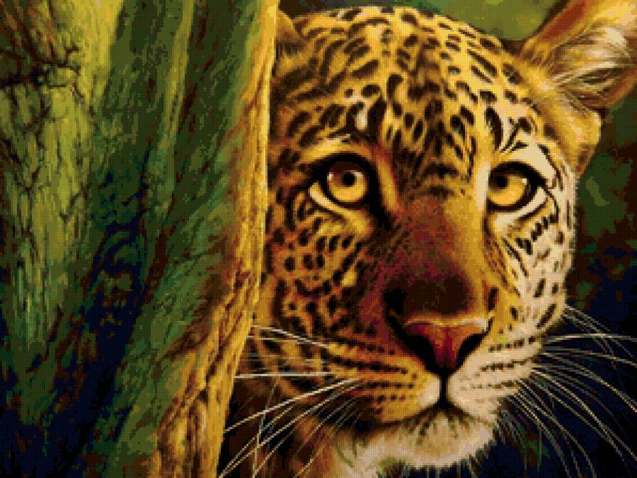 леопард - дикие животные - предпросмотр