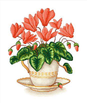 цикламен - цветы.цикламен - оригинал