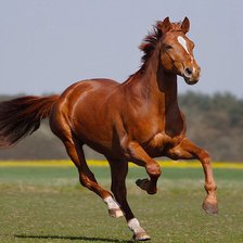 Схема вышивки «003»