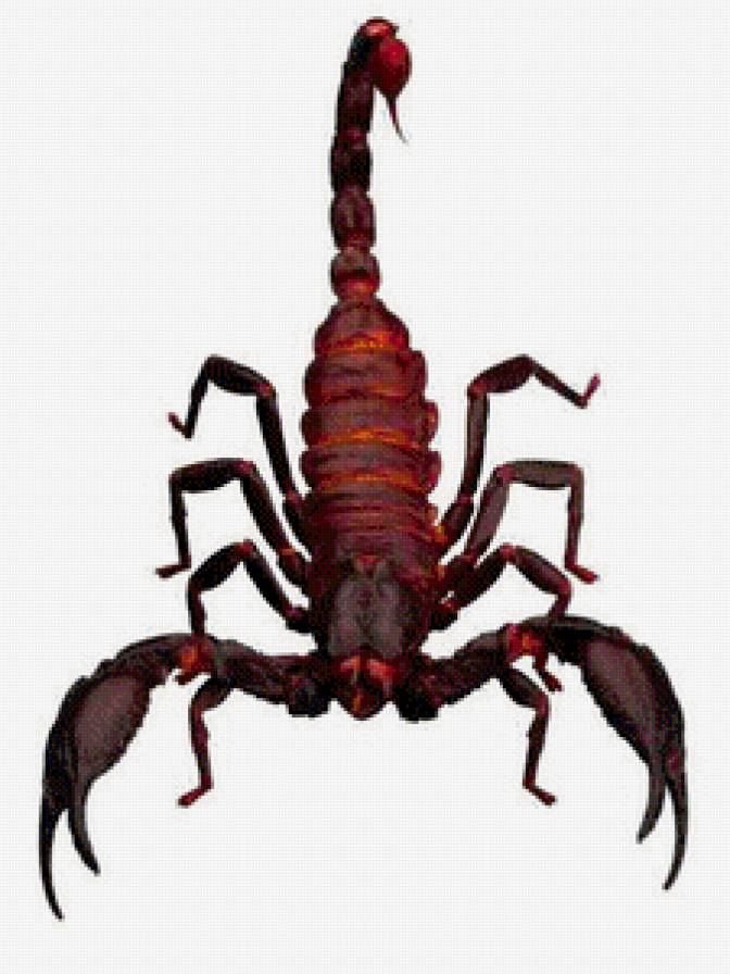 010 - предпросмотр