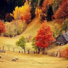 Схема вышивки «№793174»