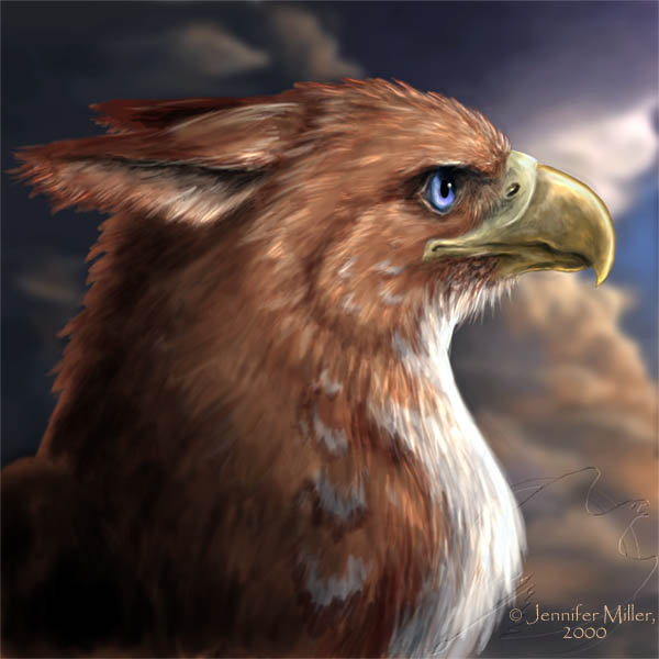 Грифон - мифические существа, миф, fantasy, мифология, фэнтези, грифон - оригинал