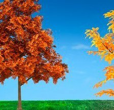 Схема вышивки «№793327»