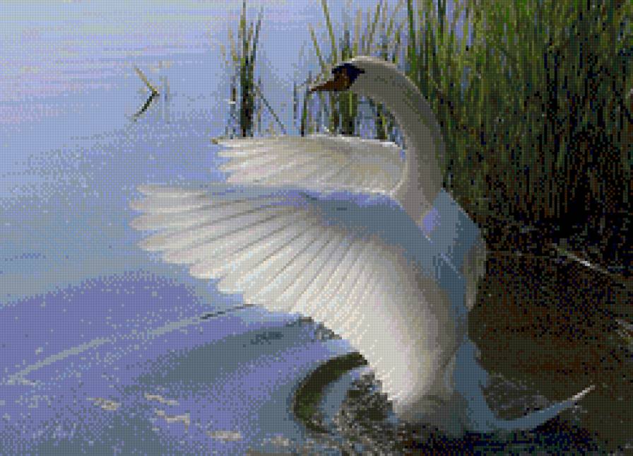 №793585 - предпросмотр