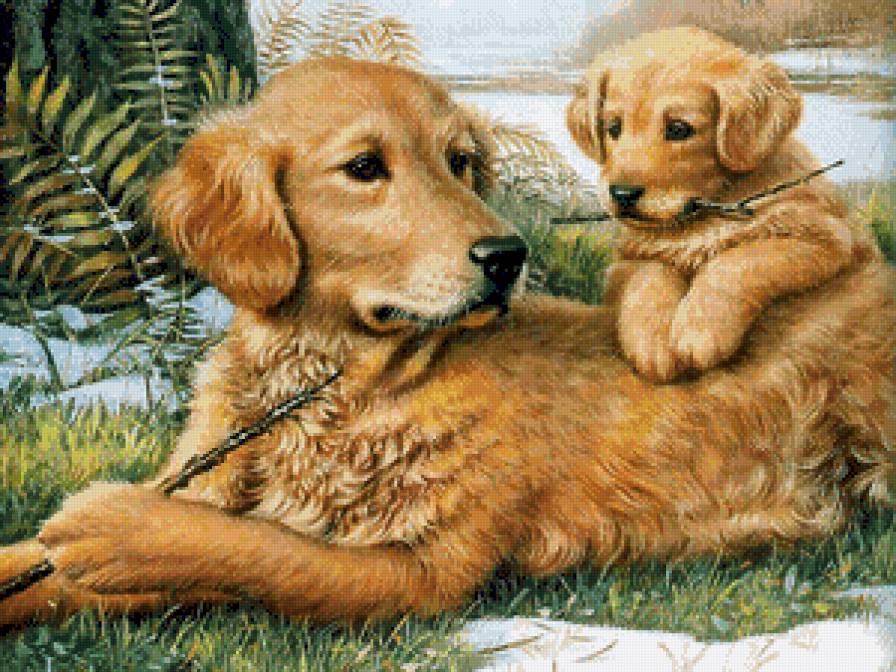 №793617 - предпросмотр