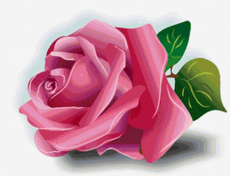 одинокая роза - роза, цветы - предпросмотр