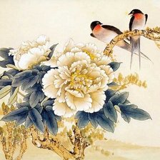 цветы любви