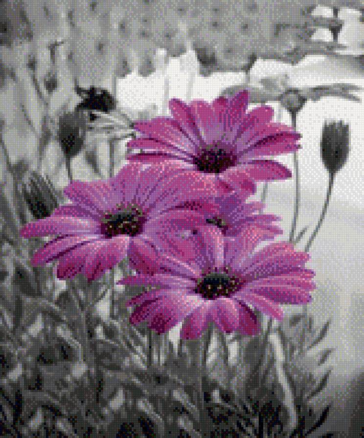 №793953 - предпросмотр