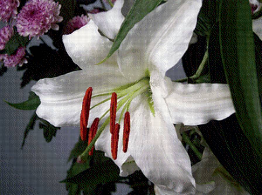 Лилия 3 - предпросмотр