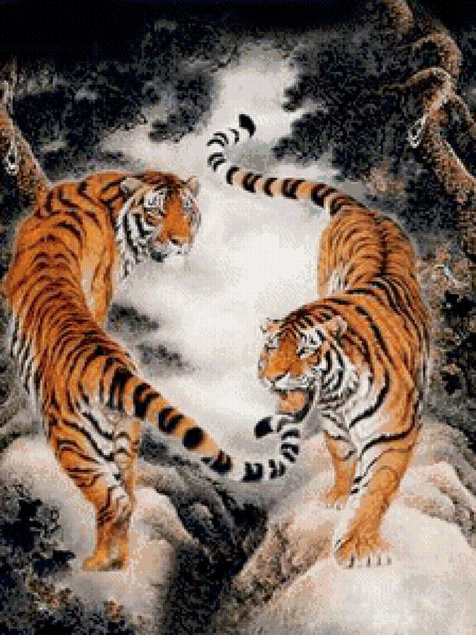 противостояние... - тигры, животные, звери - предпросмотр