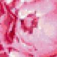 Предпросмотр схемы вышивки «розовые пионы» (№794427)