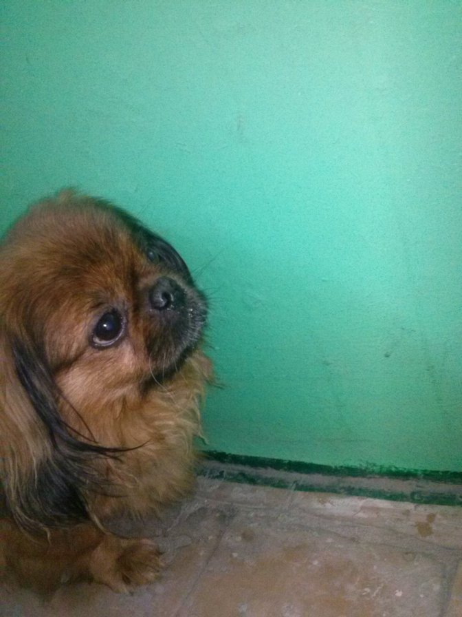 №794790 - оригинал