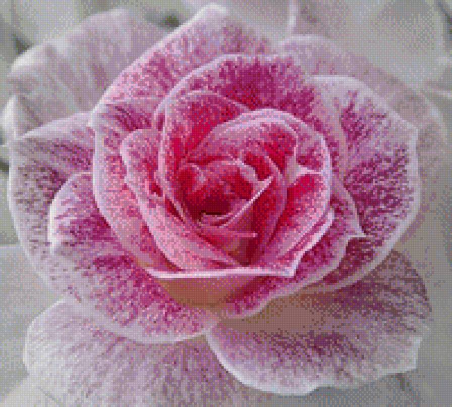 №794830 - предпросмотр