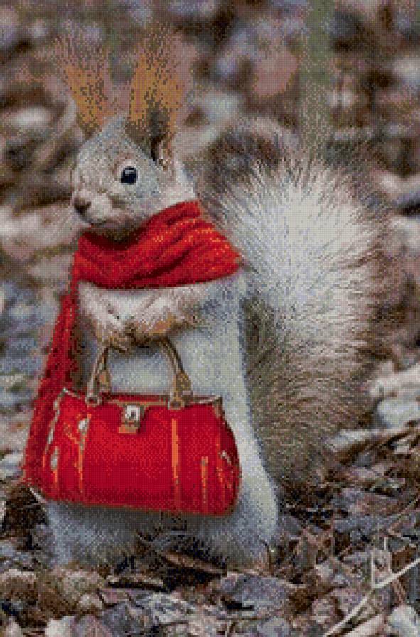 белочка с сумочкой - животные, белочка - предпросмотр