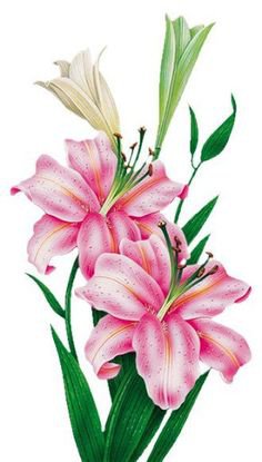 №794982 - оригинал