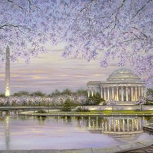 Spring Blossom – Washington