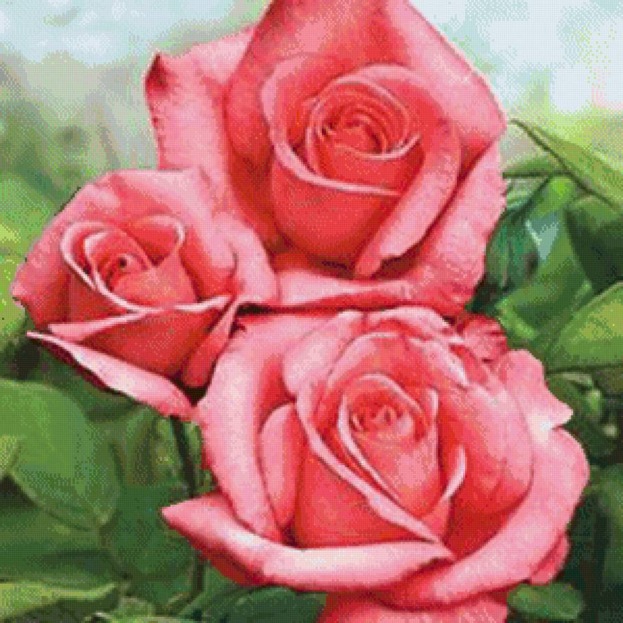 №795096 - предпросмотр