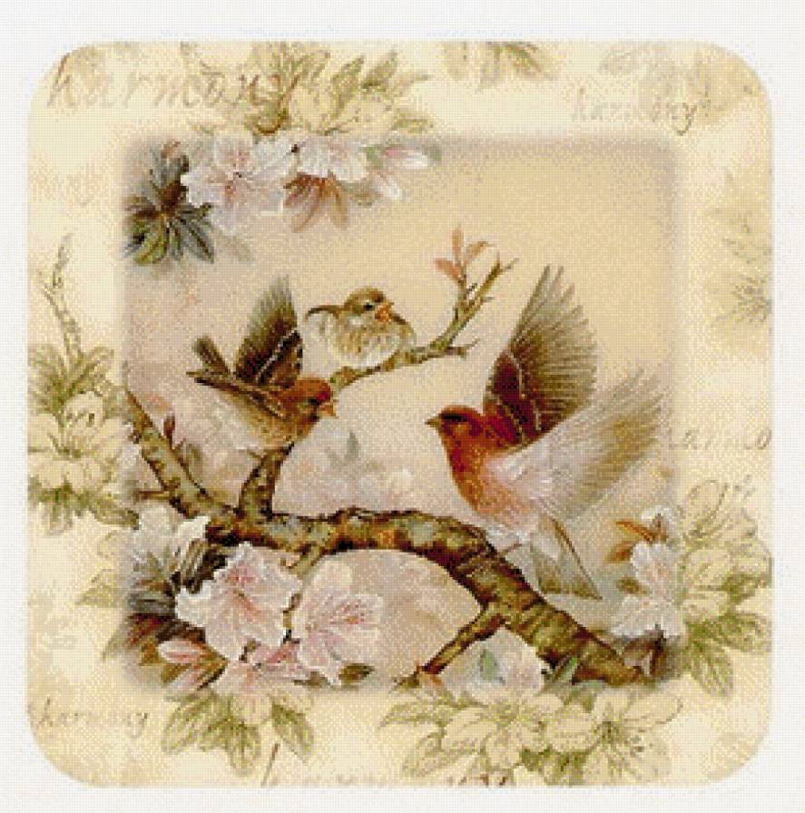 Птицы в цветач - предпросмотр