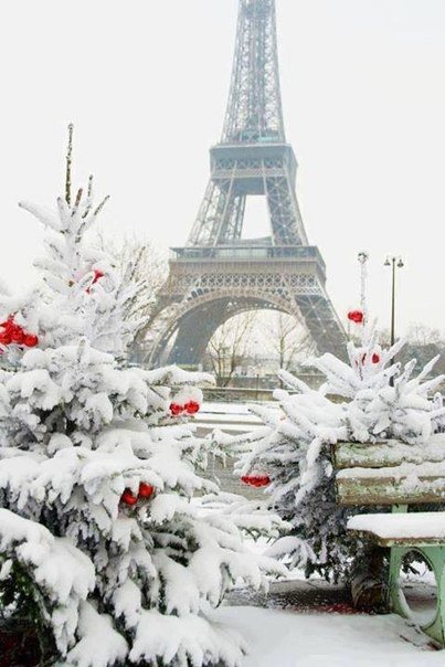 зима в Париже - париж, зима, фотография, пейзаж - оригинал