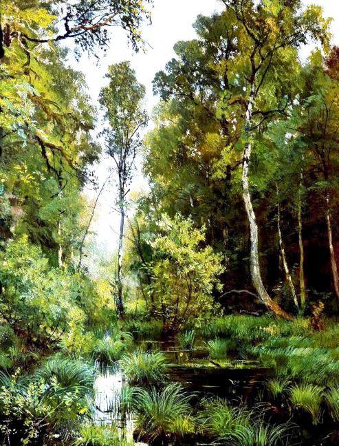 заросший пруд 2 - оригинал