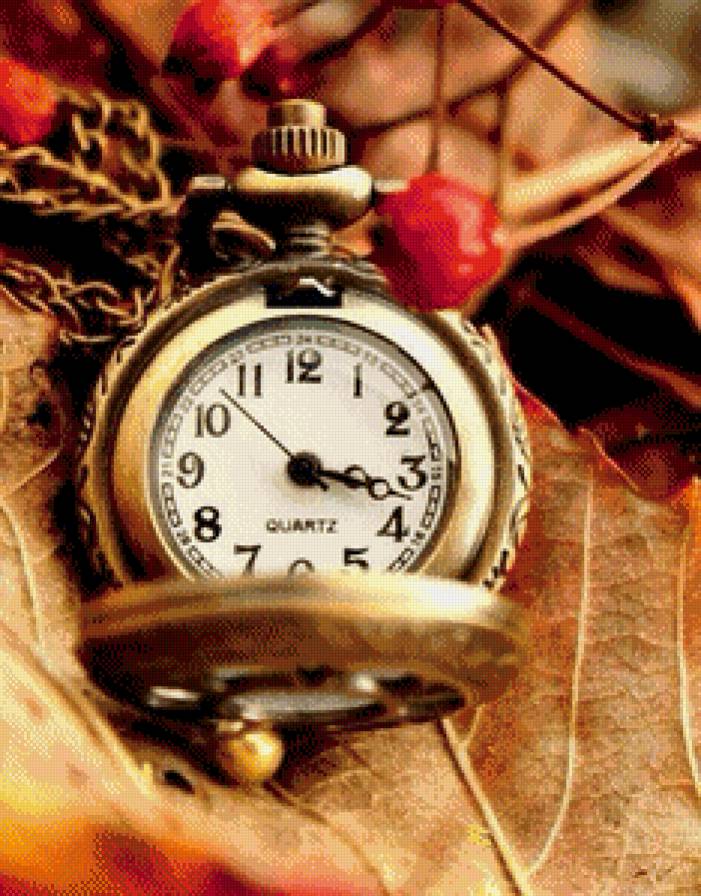 №795579 - предпросмотр