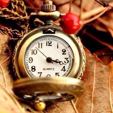 Схема вышивки «№795579»