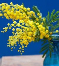 Схема вышивки «№795583»