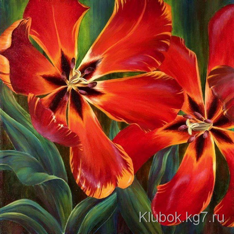 тюльпаны - тюльпаны, цветы - оригинал