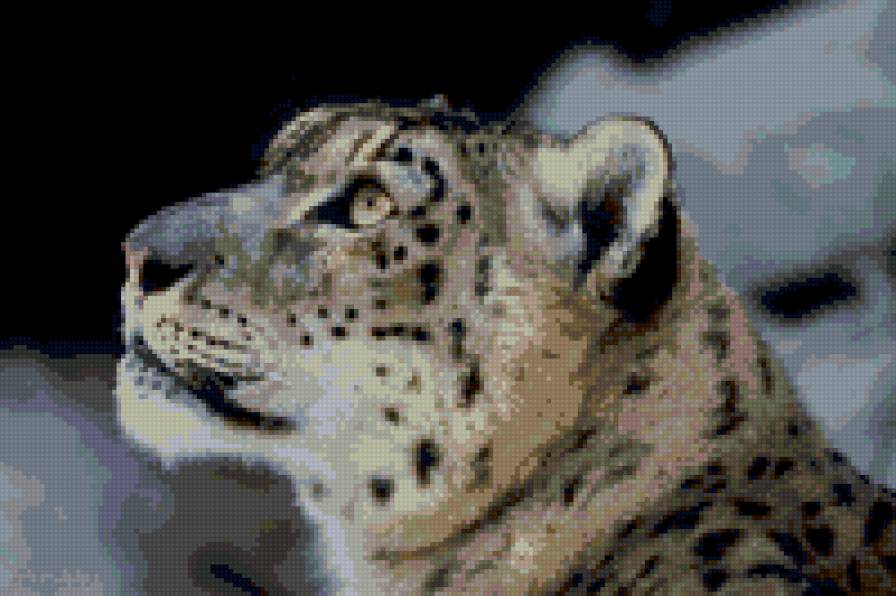 Барс - предпросмотр