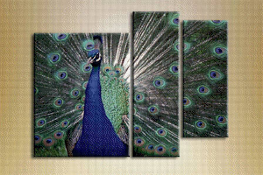 триптих павлин - предпросмотр