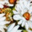 Предпросмотр схемы вышивки «полевые цветы» (№795768)