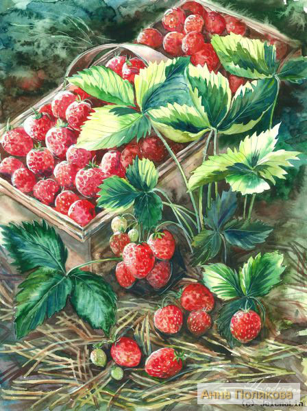 серия " Дары природы" - клубничка - оригинал