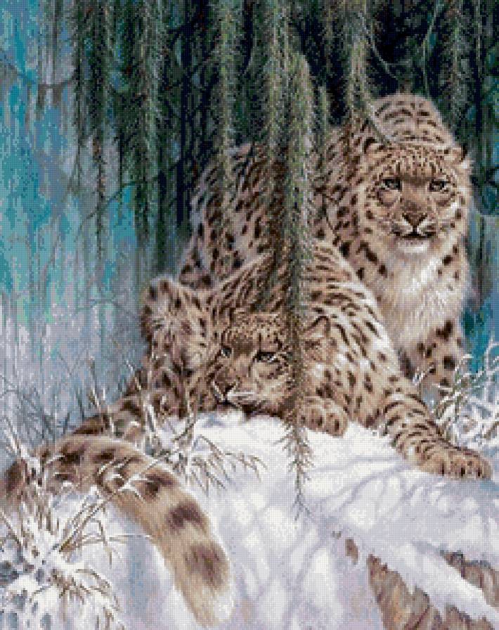 №795866 - дикие животные - предпросмотр