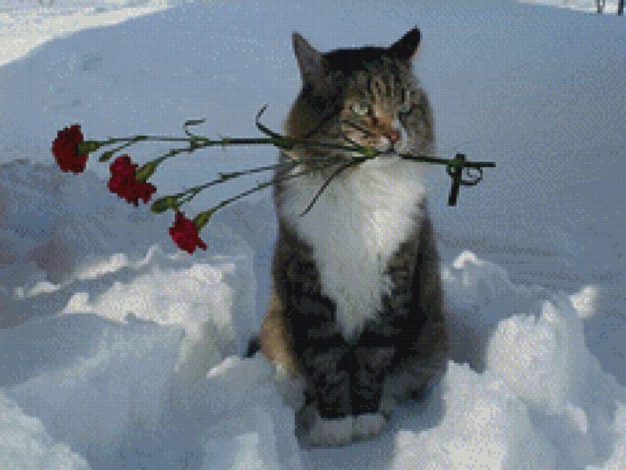 кот-романтик - зима, кот - предпросмотр