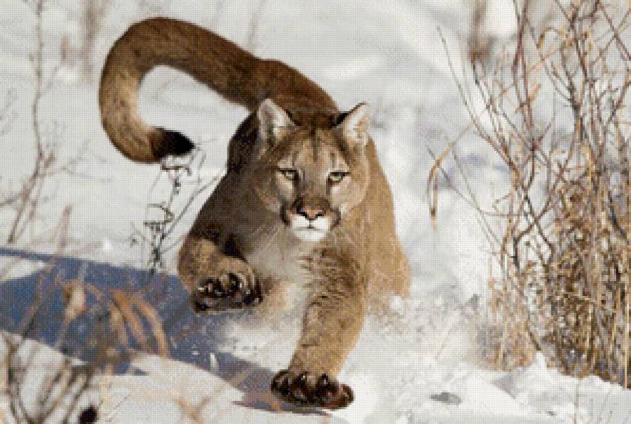 №796122 - предпросмотр