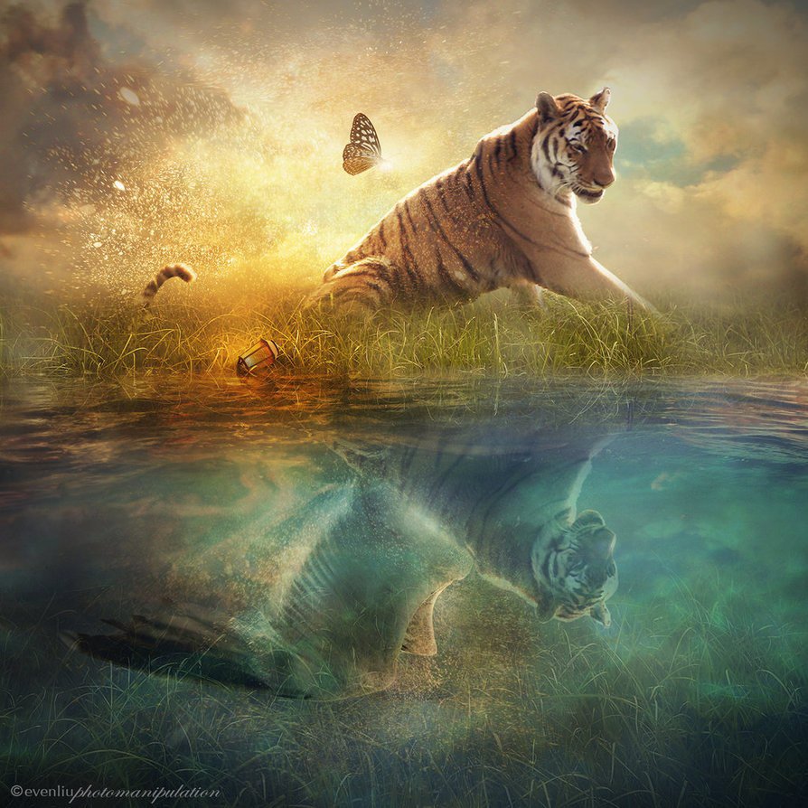 игра полутонов - оригинал