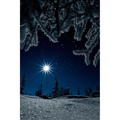 лунная  ночь - зима, природа, ночь - оригинал