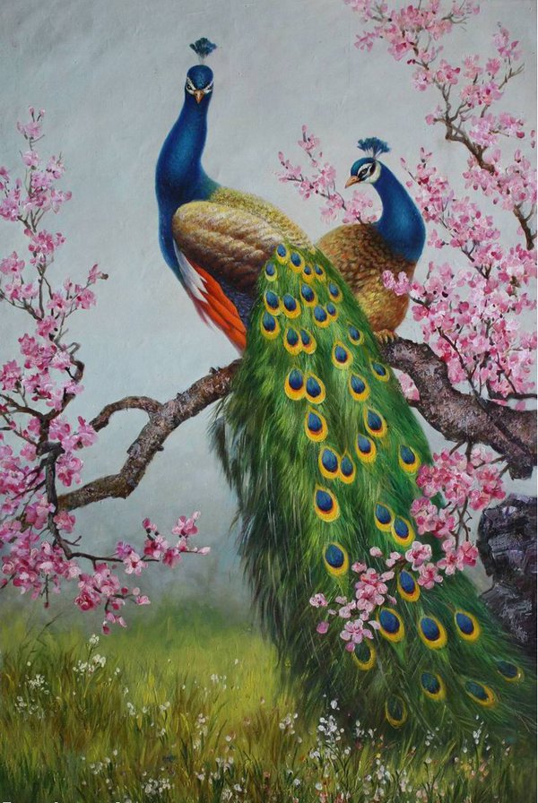 павлины-8 - оригинал