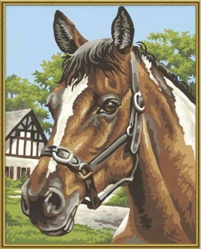 лошадиный портрет - портрет, животные, лошадь - оригинал