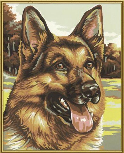 лучший друг - животные, собака, портрет - оригинал