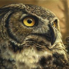 Схема вышивки «№796265»