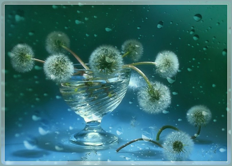 цветы, стекло - оригинал