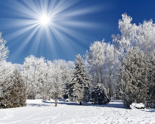 Мороз и солнце - природа - оригинал