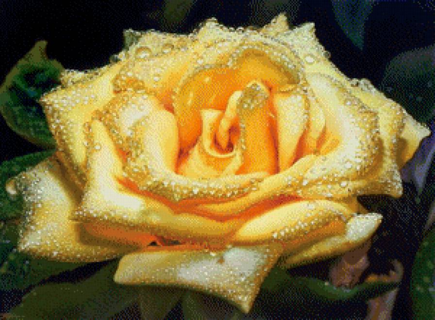 картина - букет, цветы, красота - предпросмотр