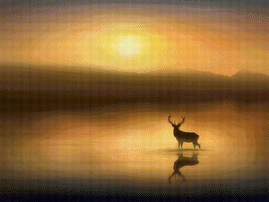 №796481 - предпросмотр