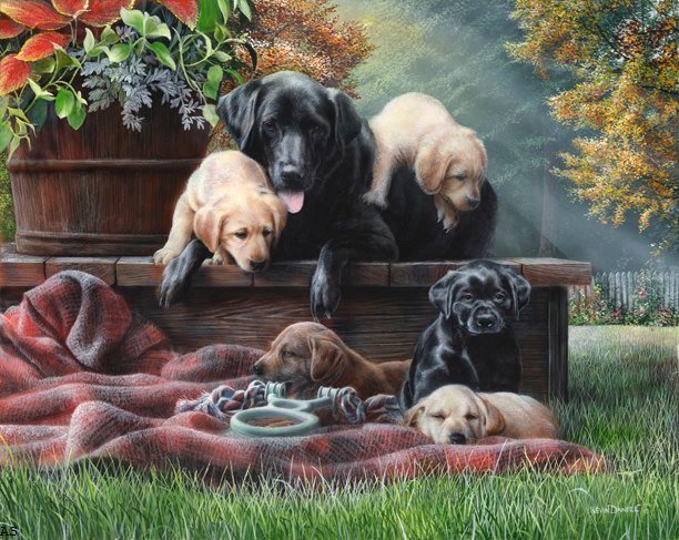 благое семейство - собаки, животные - оригинал