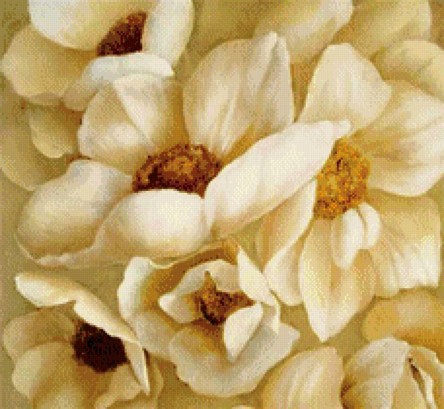 букет - белые цветы, цветы, букет - предпросмотр