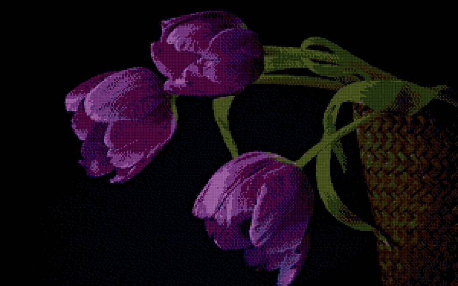 3 - предпросмотр