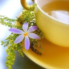 Схема вышивки «Для кухни»